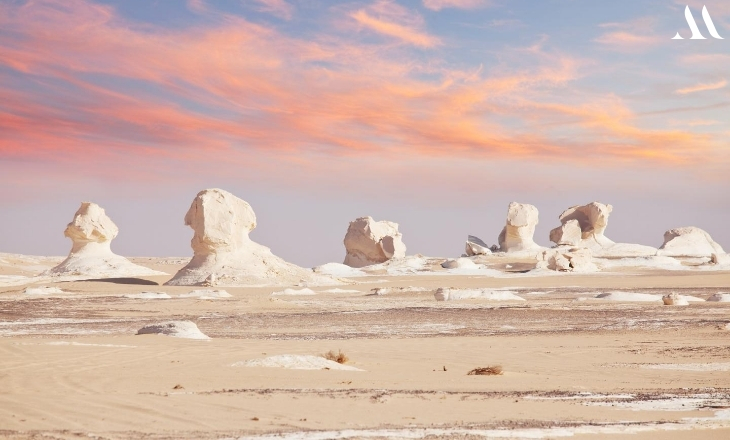 Card image cap w-100